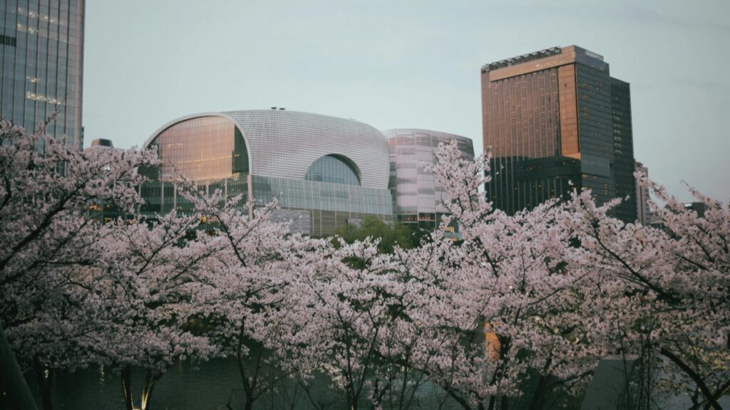 Jinsi Vloggers Wa Tanzania Wa YouTube Wanavyoweza Kushirikiana Na Advertisers Wa Belgium Mwaka 2025