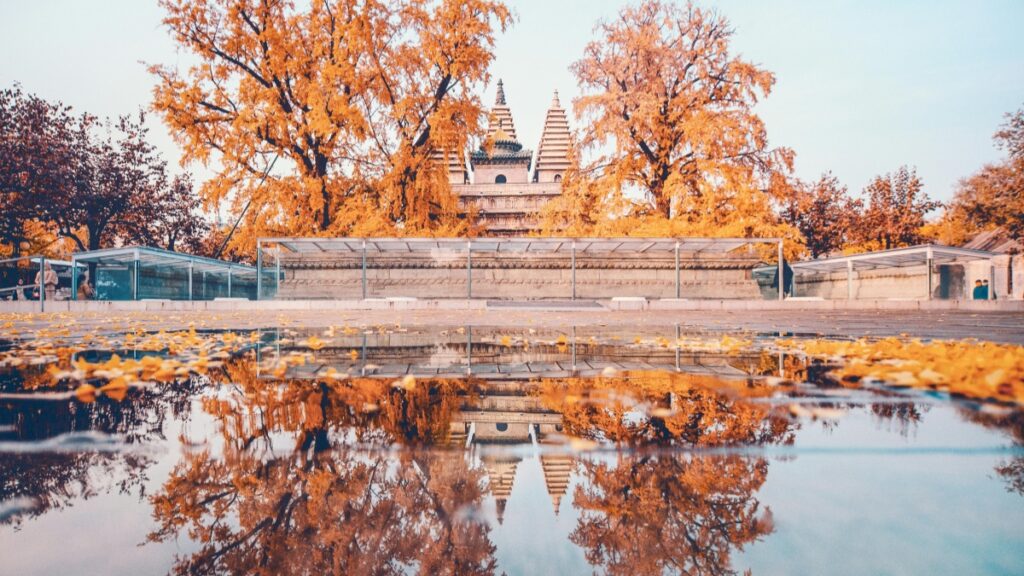 Jinsi Wablogu Wa Twitter Tanzania Wanavyoweza Kushirikiana Na Wadhamini Wa Netherlands 2025