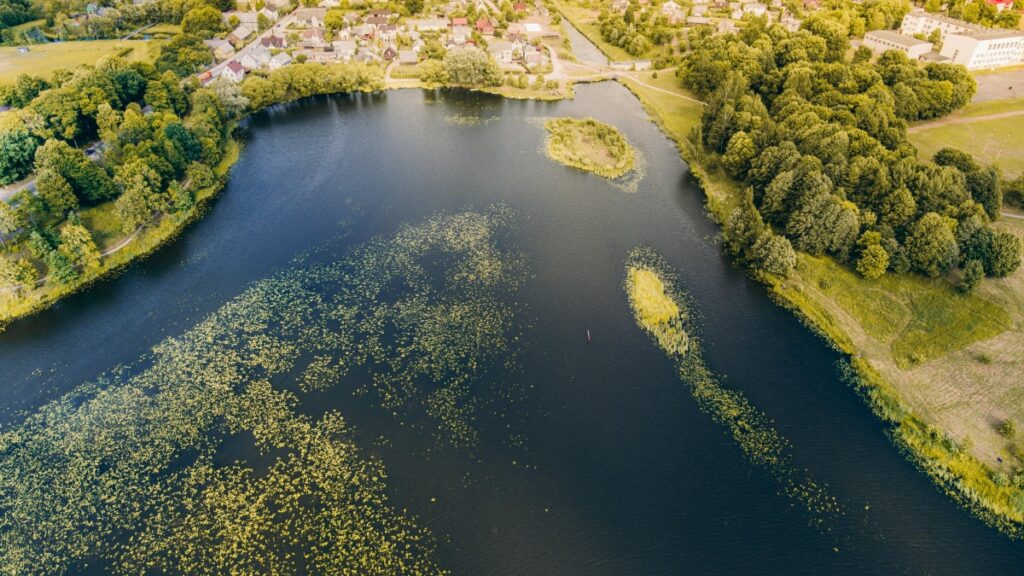 Jinsi Watumiaji Pinterest Tanzania Wanavyoweza Kushirikiana Na Wauzaji Egypt Mwaka 2025