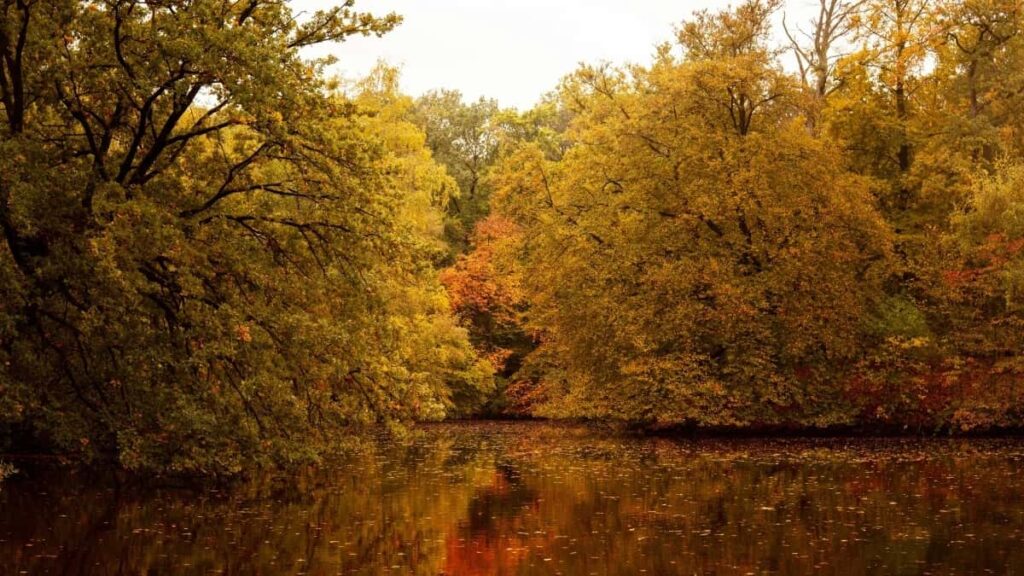 2025 Sweden LinkedIn AllCategory Advertising Rate Card Tanzania Market Guide