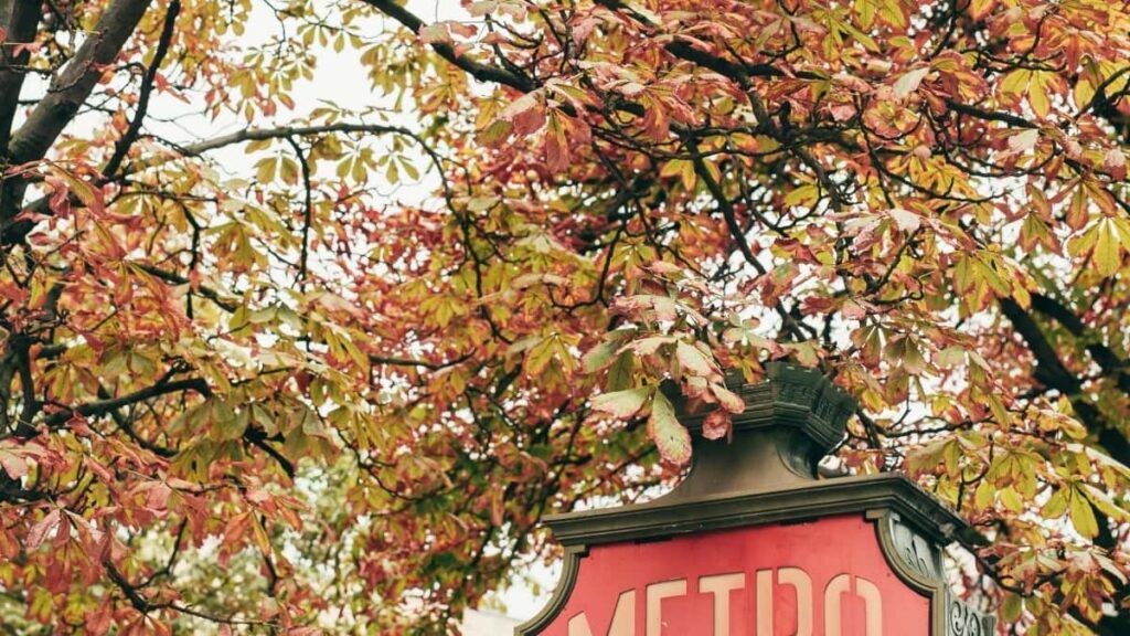 2025 India TikTok Advertising Rate Card Tanzania Perspective