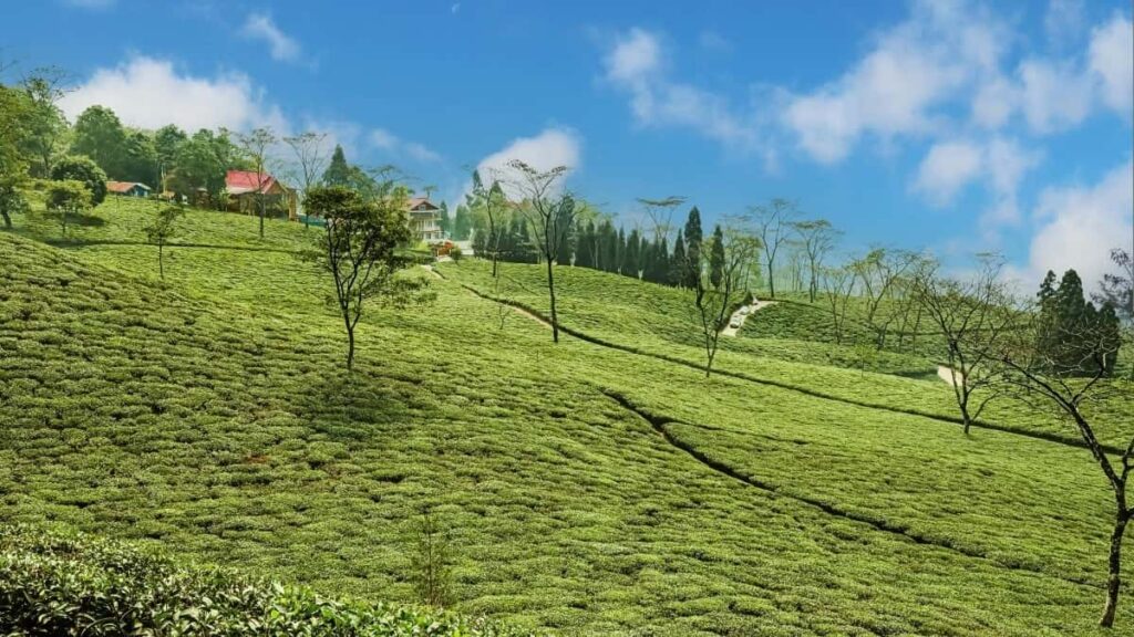 2025 Japan TikTok AllCategory Advertising Rate Card kwa Tanzania