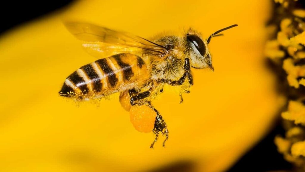 2025 China Telegram Advertising Rate Card Tanzania Market Guide