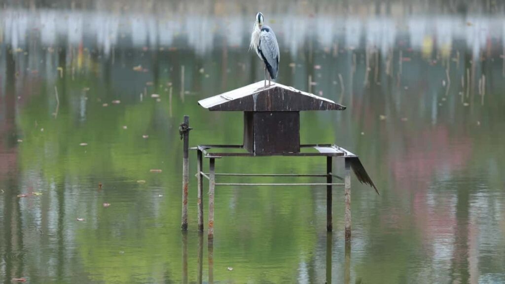 2025 Brazil WhatsApp AllCategory Advertising Rate Card Tanzania Market