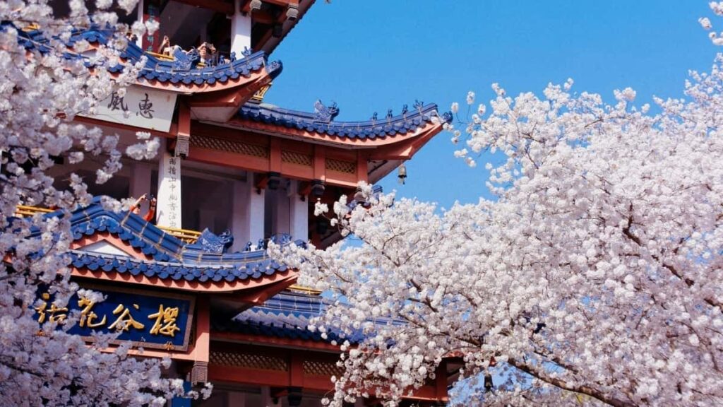 2025 Kenya WhatsApp Advertising Rate Card Kwa Soko La Tanzania