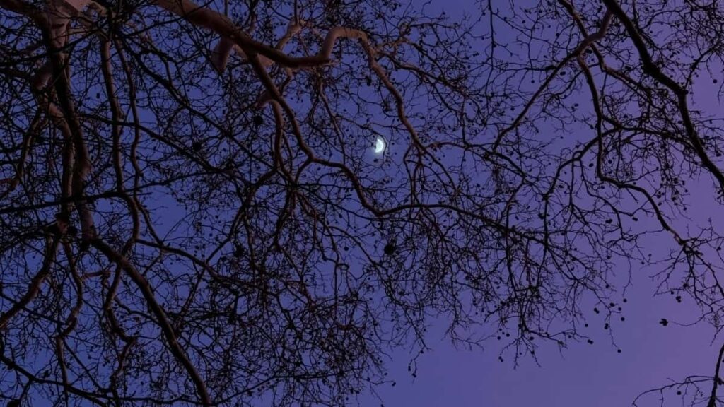 Snapchat Advertising Zambia 2025 Rate Card Kwa Tanzania Wateja