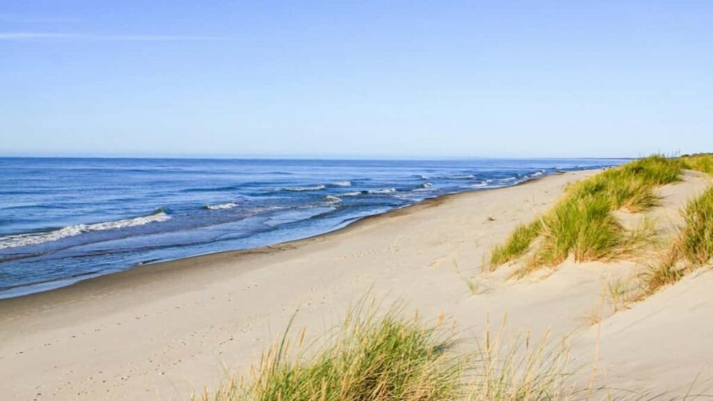 2025 Pakistan Instagram AllCategory Advertising Rate Card kwa Tanzania