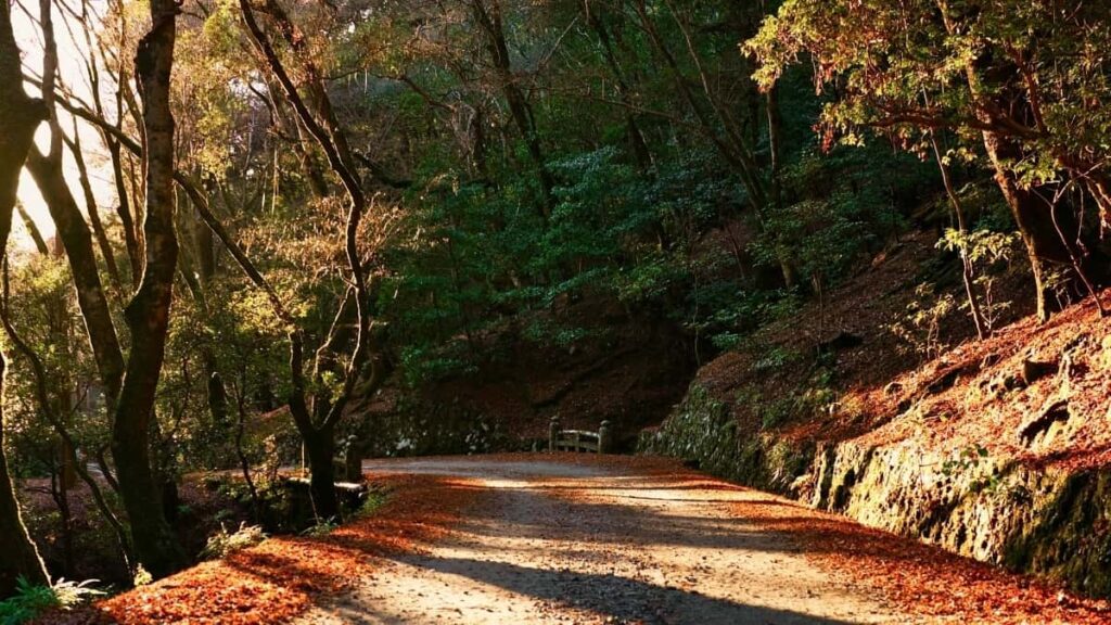 Bei Za Matangazo Snapchat Kenya 2025 Kwa Wateja Tanzania