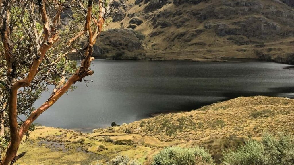 Bei za Matangazo Snapchat Zambia 2025 Tanzania Masoko