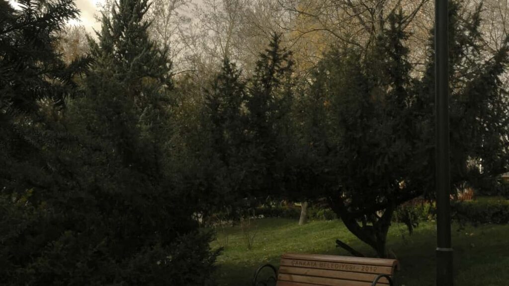 Bei za Matangazo LinkedIn China 2025 Tanzania Soko