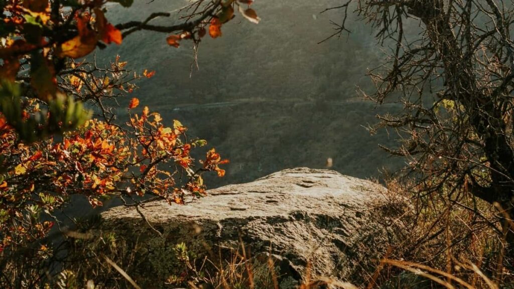 Bei Za Matangazo Telegram Rwanda Mwaka 2025 Tanzania