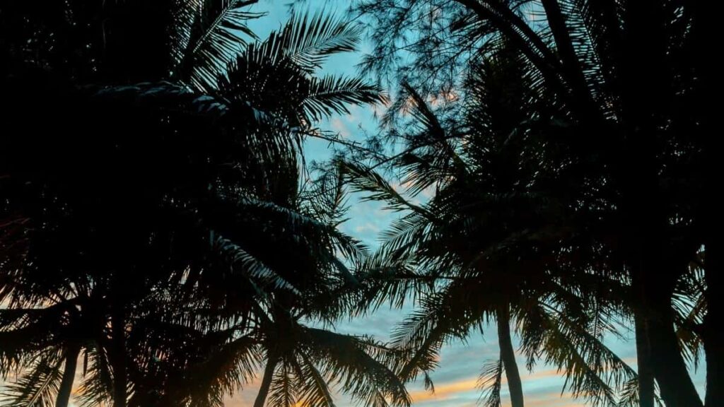 Bei za Matangazo Telegram Belgium 2025 kwa Soko la Tanzania