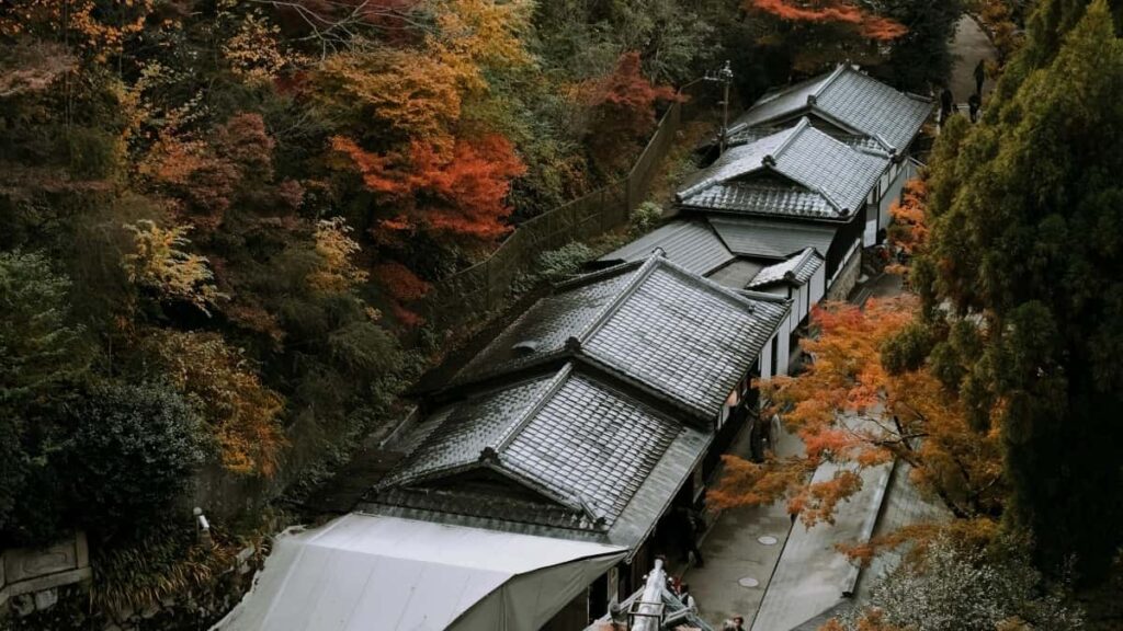 Bei za Matangazo Telegram Emirates 2025 Tanzania