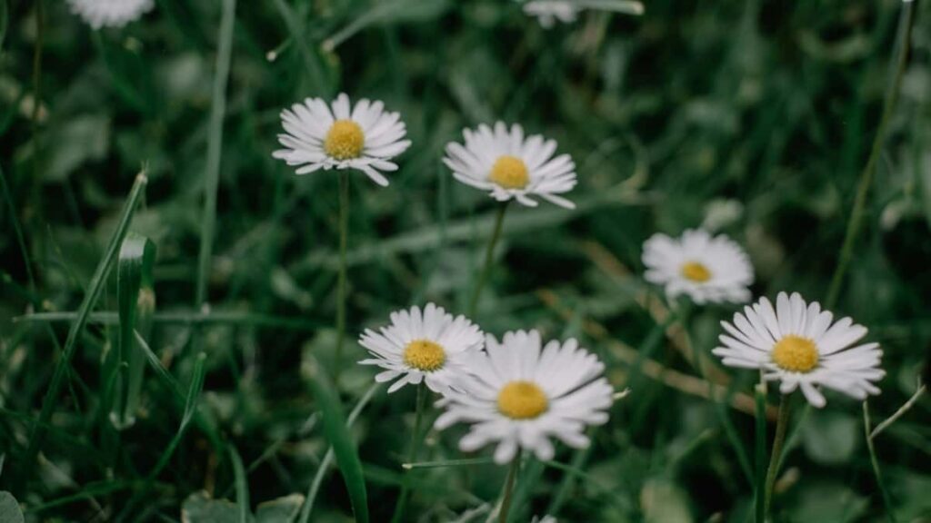 2025 Rwanda LinkedIn Bei Za Matangazo Kwa Kategori Zote Kwa Tanzania