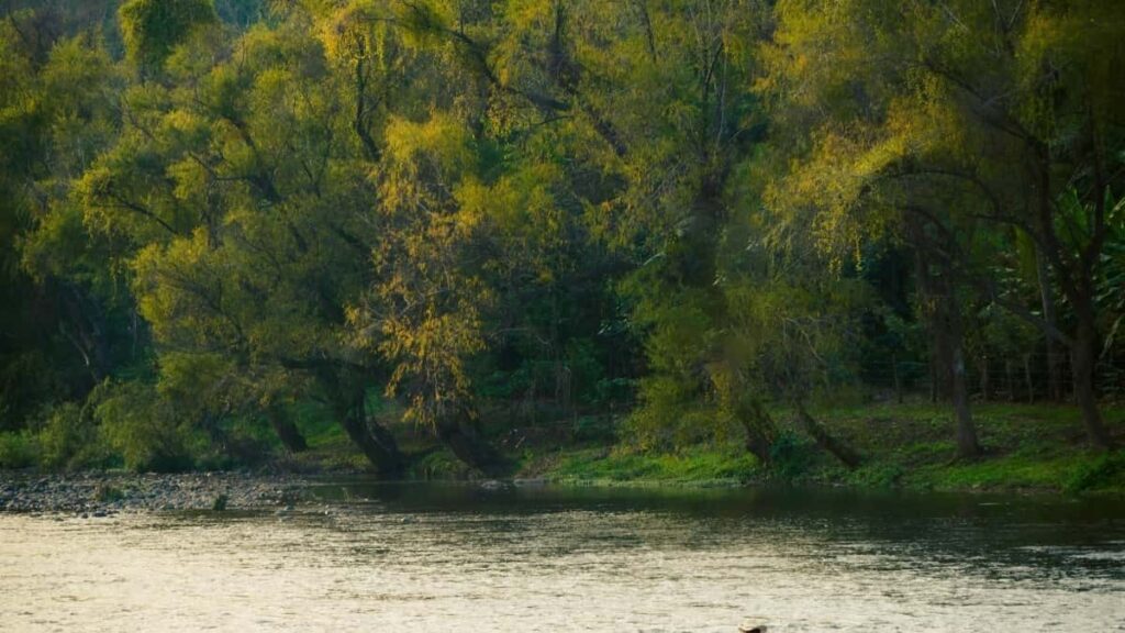 Bei za Matangazo TikTok Umoja wa Falme za Kiarabu 2025 Tanzania