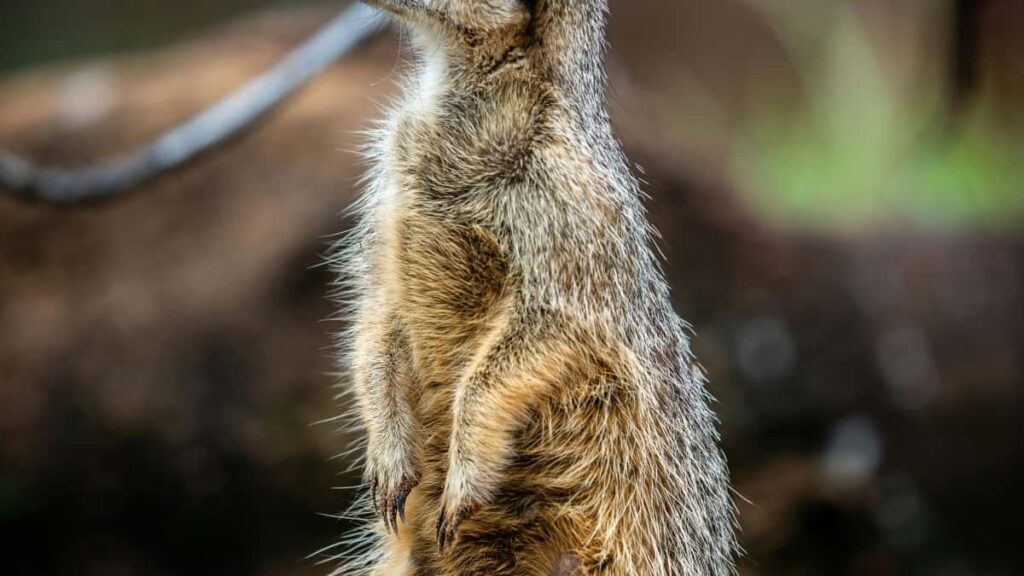 Bei za Matangazo LinkedIn Tanzania na Norway 2025