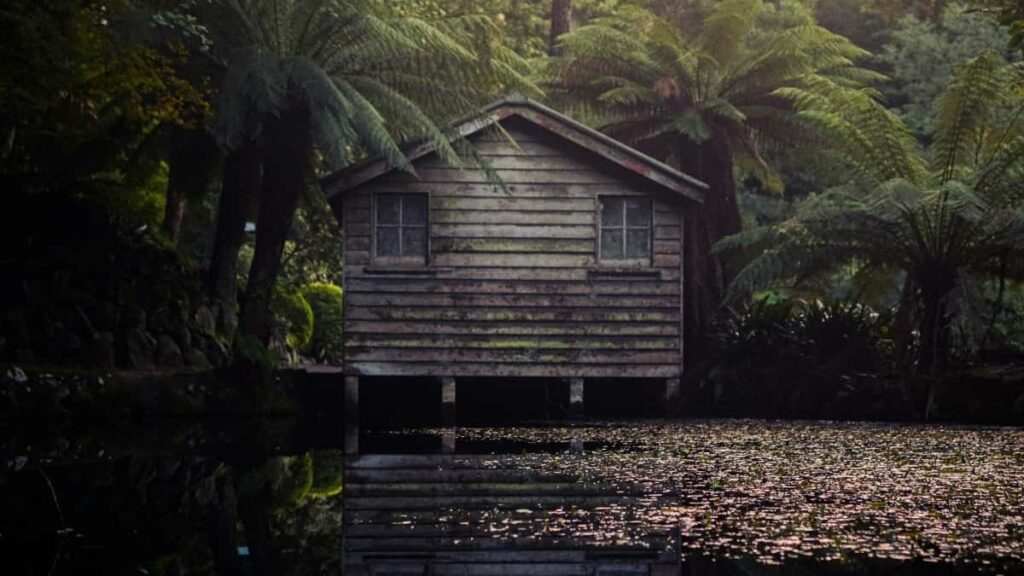 2025 Italy Pinterest Advertising Rate Card Tanzania View