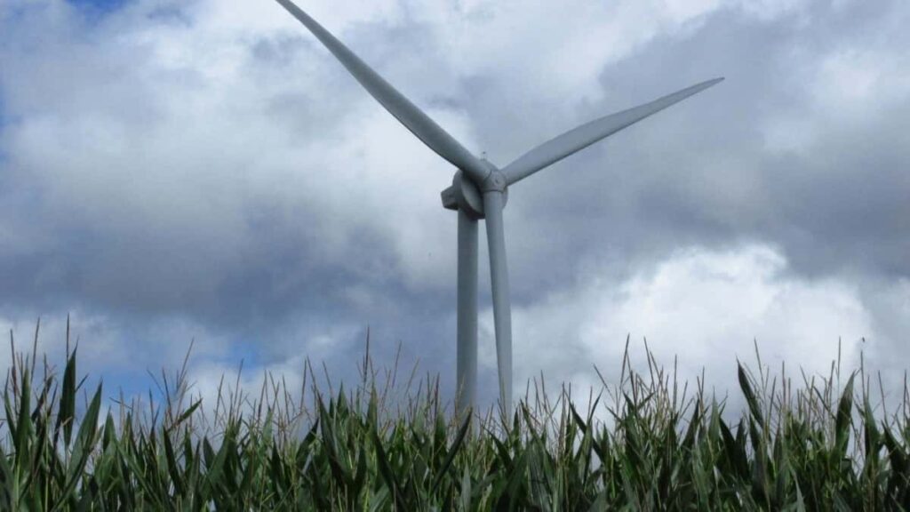 Bei za Matangazo ya WhatsApp Russia 2025 Tanzania