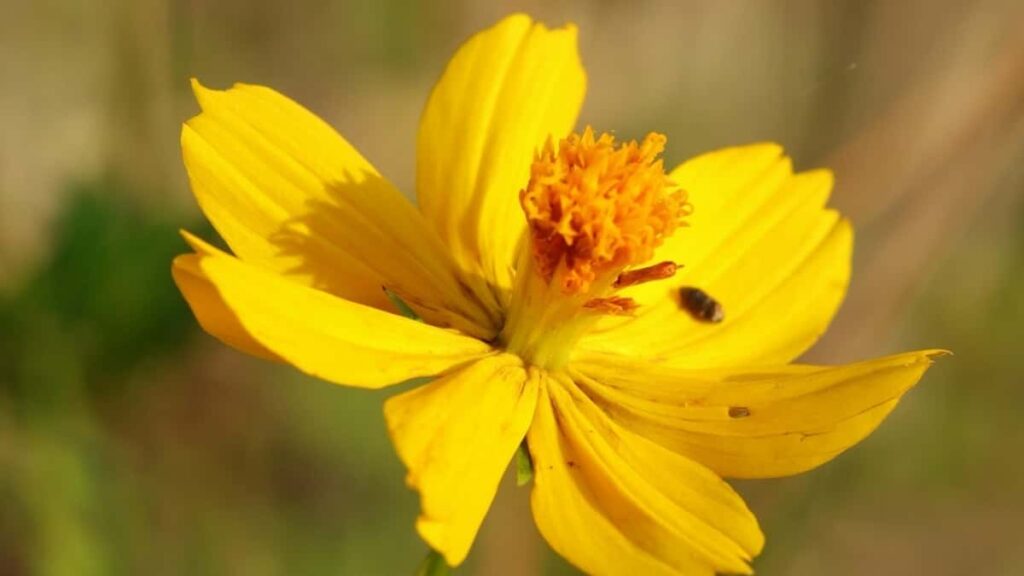 Bei Za Matangazo Instagram Afrika Kusini 2025 Kwa Tanzania