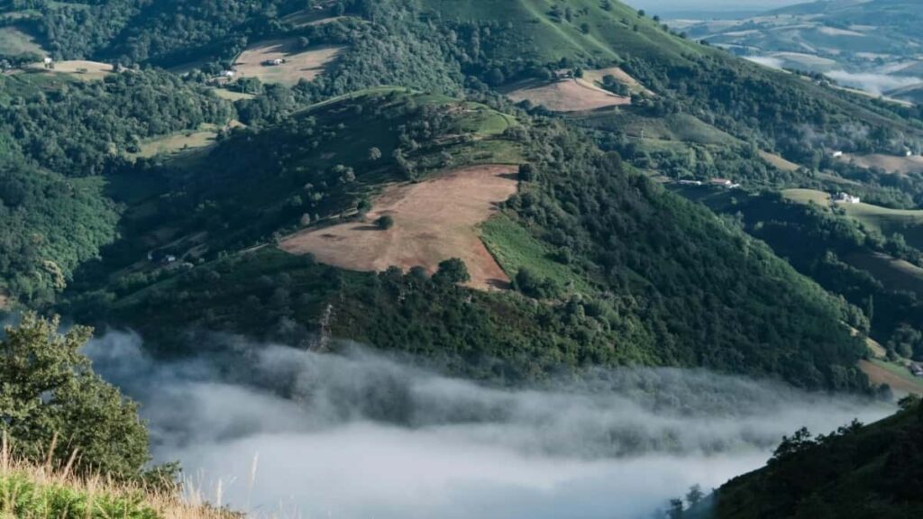 Bei Za Matangazo Pinterest Kenya 2025 Kwa Tanzania