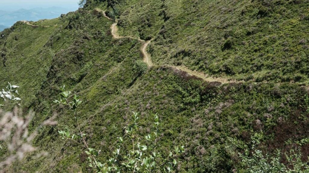 Bei za Matangazo LinkedIn Rwanda 2025 kwa Tanzania Wadau