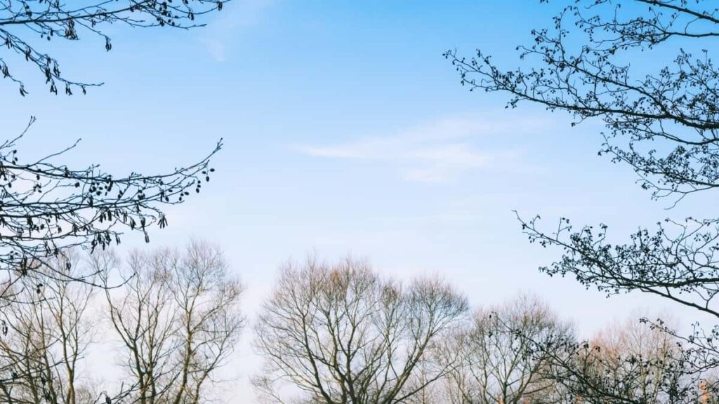 Bei za Matangazo Instagram Emirati 2025 Tanzania