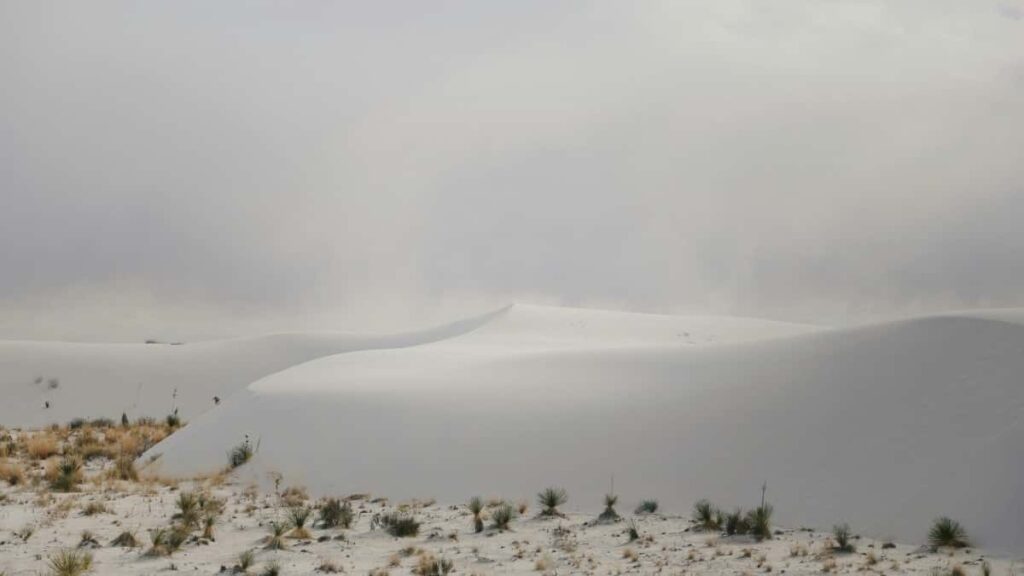 Bei Za Matangazo Ya WhatsApp South Africa 2025 Tanzania