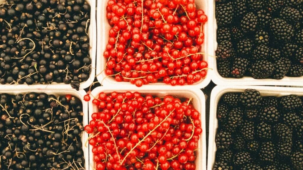 Bei za Matangazo ya Twitter Sweden 2025 kwa Tanzania