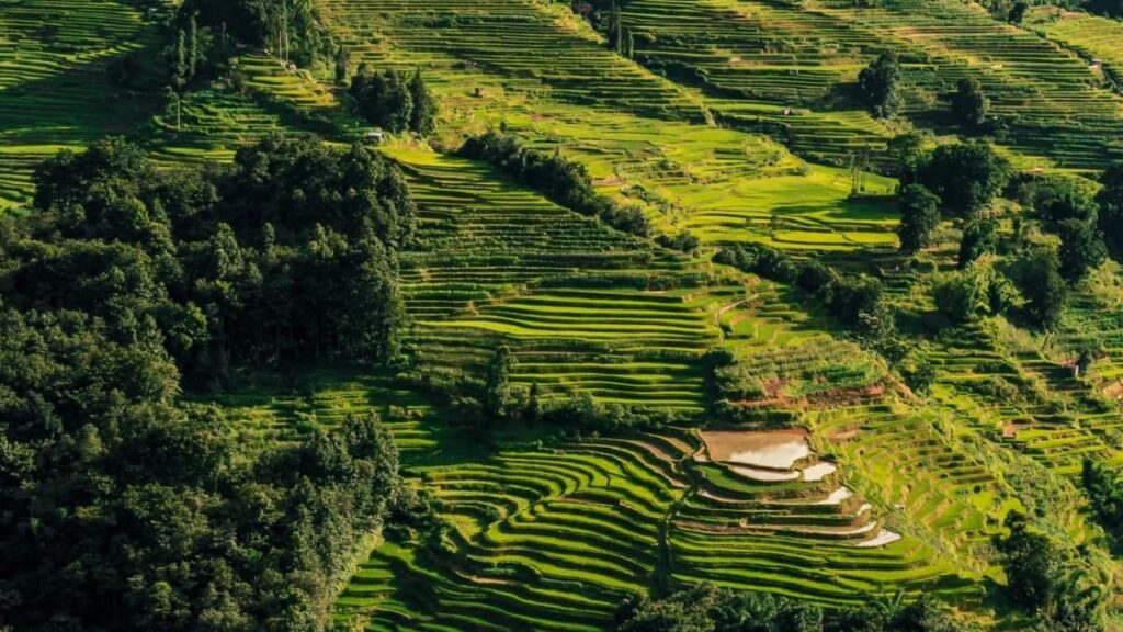 Bei Za Matangazo Snapchat Malaysia 2025 Kwa Tanzania