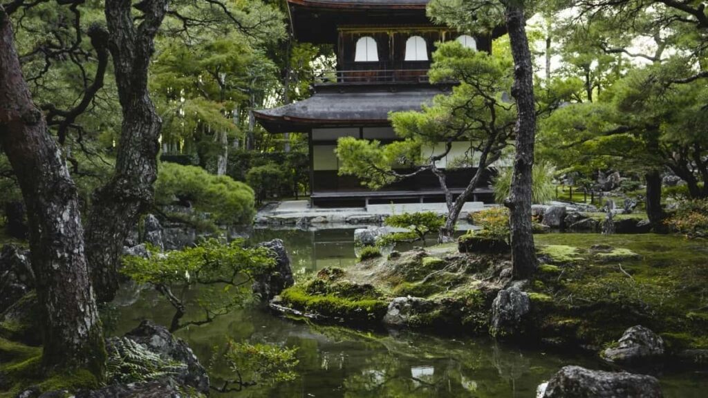 Jifunze jinsi wa-creator wa Tanzania wanavyoweza kuwasilisha mapendekezo ya ushirikiano na Line Bulgaria kwa mafanikio.