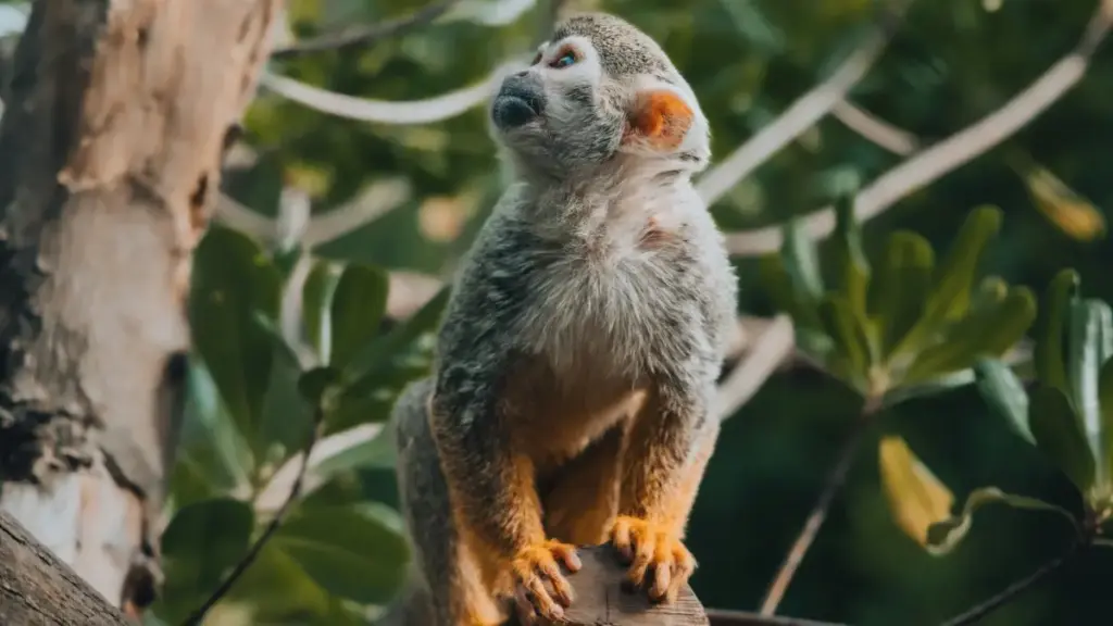 Jinsi wauzaji Tanzania wanavyoweza kutafuta na kushirikiana na creator wa Bosnia na Herzegovina kupitia Reddit, alternatives, na njia za kujulikana kwa niche audiences.