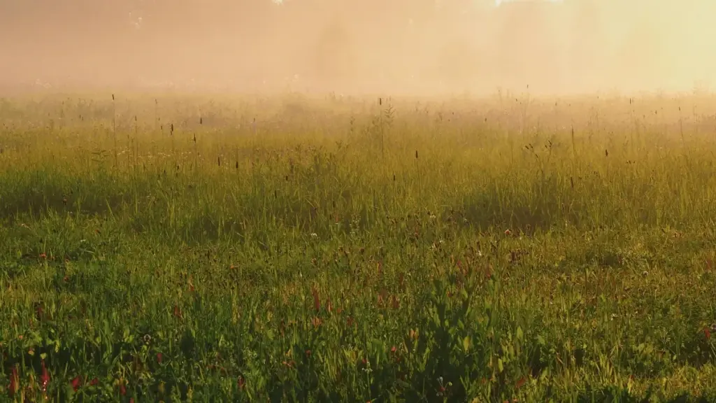 "Mwongozo wa vitendo kwa wauzaji Tanzania: jinsi ya kutafuta na kuajiri waumbaji wa WeChat kutoka Croatia ili kupata video zinazovuma."