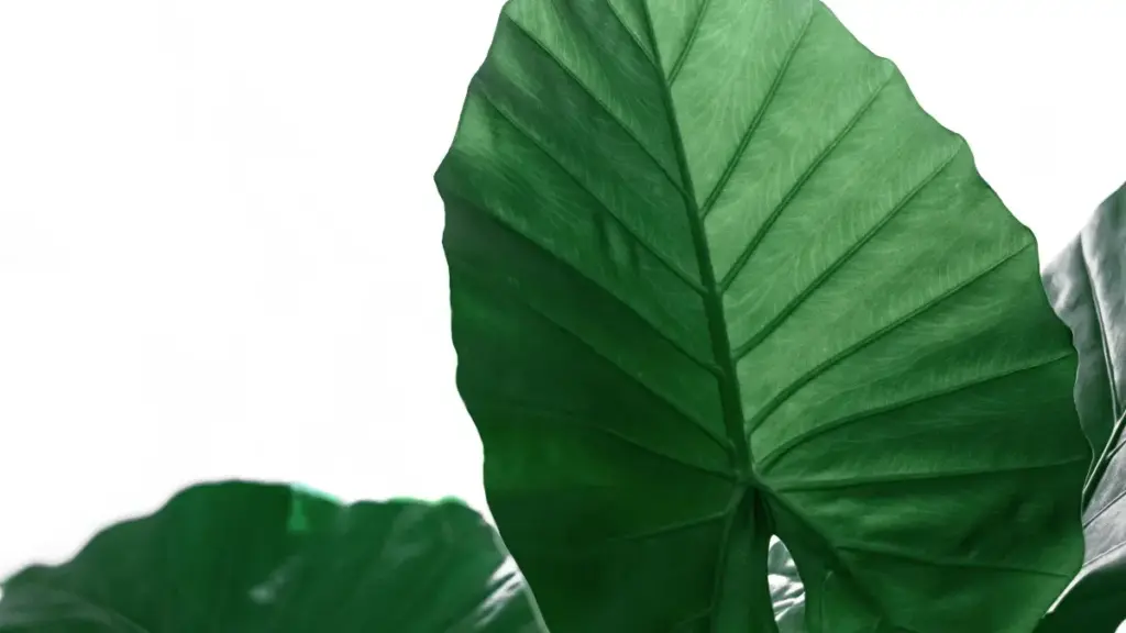 Njia rahisi za kutafuta na kuwasiliana na creators wa Threads nchini Cambodia kwa kampeni za giveaway; mikakati ya outreach, metrics muhimu, na mapitio ya kesi.