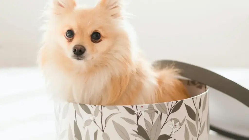 Mikakati rahisi na ya kitanzanian kupata creators wa Latvia kwenye Takatak ili kupandisha uelewa ndani ya gaming communities. Njia za outreach, tools, na hatari.