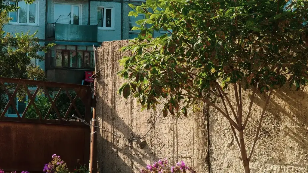 "Mwongozo wa watangazaji wa Tanzania: jinsi ya kupata waundaji wa Malta kwenye Discord kwa tutorials za makeup, maarifa ya outreach, na hatua za kuanza haraka."