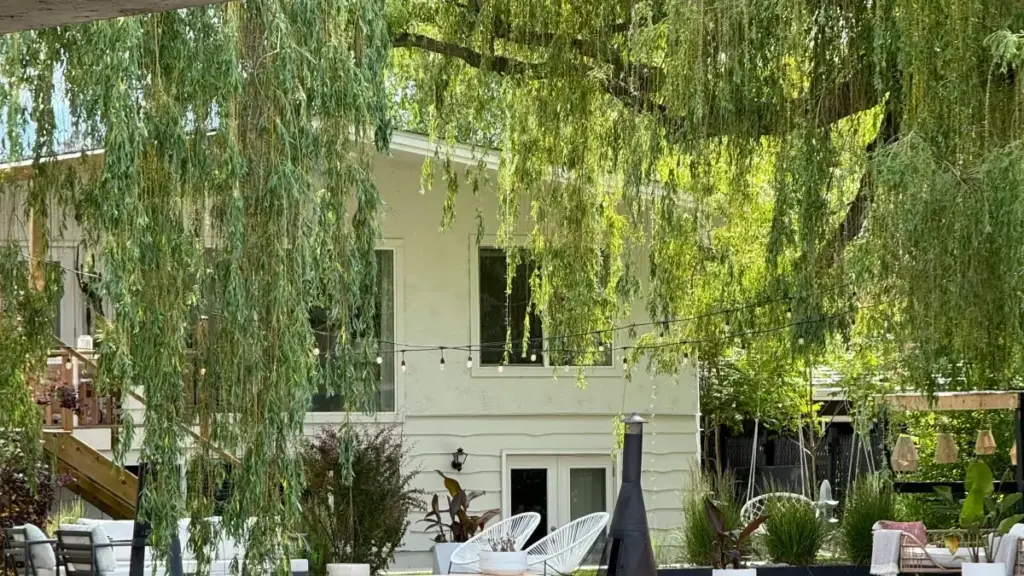 Mwongozo wa hatua kwa hatua kwa wauzaji Tanzania: jinsi ya kutafuta na kushirika na creators wa Chingari nchini South Africa ili kuanzisha promos za nyimbo mpya.