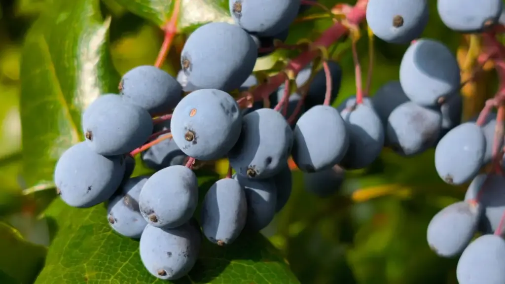 Mwongozo wa wanatangaza Tanzania: jinsi ya kutambua na kushirikiana na creators wa Hispania (waendeshaji wa HBO Max) ili kuongeza trafiki na downloads kwa app zako za fitness.