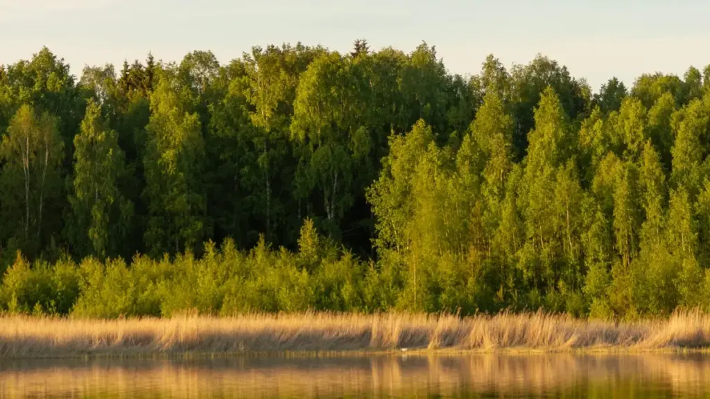 "Mwongozo wa watangazaji Tanzania: mikakati halisi ya kuchagua na kutengeneza ushirika wa muda mrefu na mid‑tier Snapchat creators wa Ireland, ikijumuisha AR, jinsi ya kuwatafuta, na jinsi ya kuwapima."