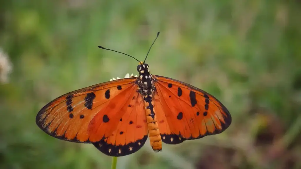Jifunze mbinu za kufikia brand za Lithuania kwenye Apple Music kwa kushirikiana kwenye changamoto za gameplay.