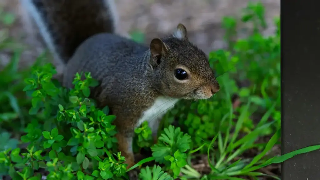 Jifunze mbinu halisi za kupata Malta Moj creators Tanzania ili kukuza ofa za msimu kwa ushawishi bora.