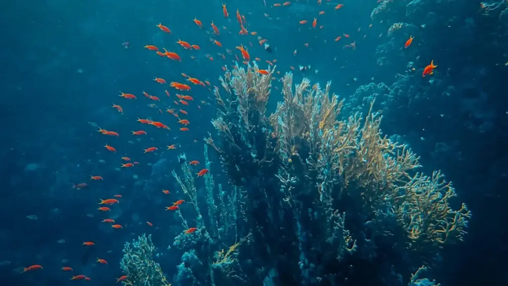 Jifunze mbinu za kweli za kupata Vietnam QQ creators kwa kampeni zako za esports Tanzania, na jinsi ya kushirikiana nao kufanikisha malengo yako ya biashara.