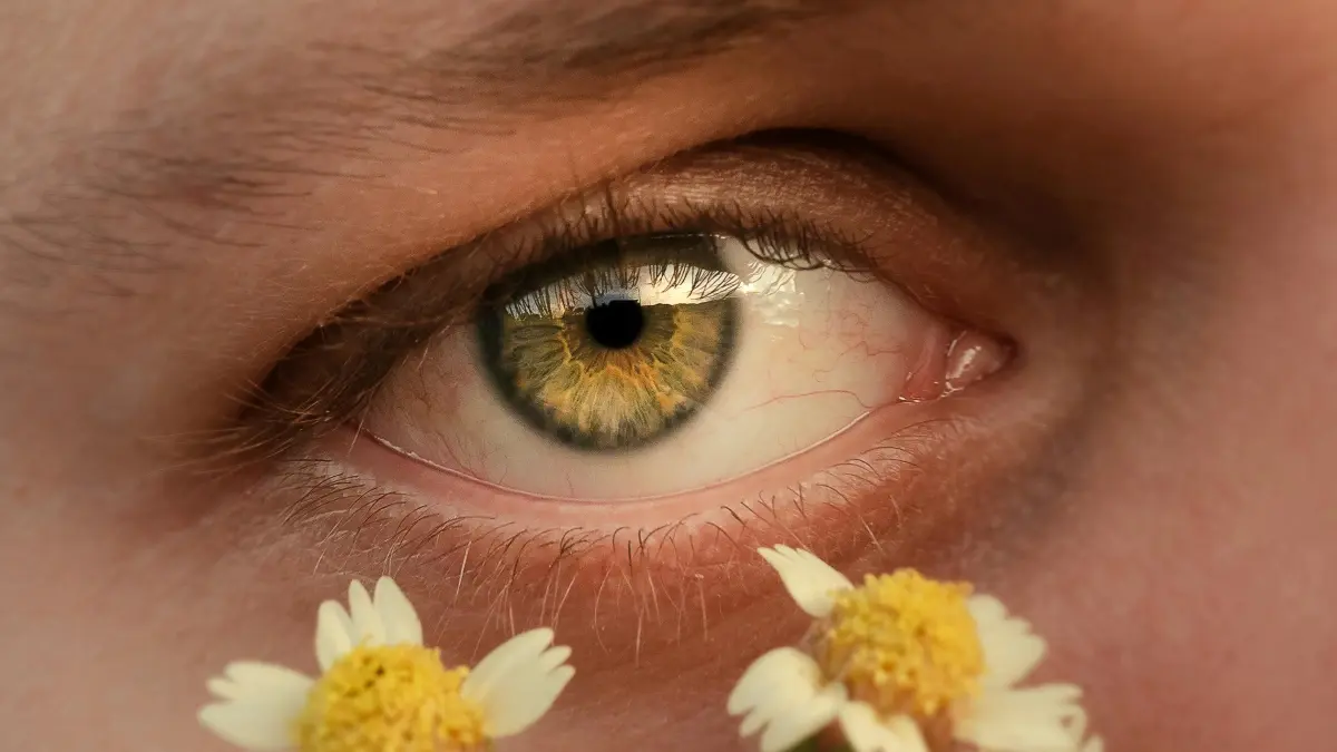 Tanzania brands: Mexico Telegram creators for clean-beauty