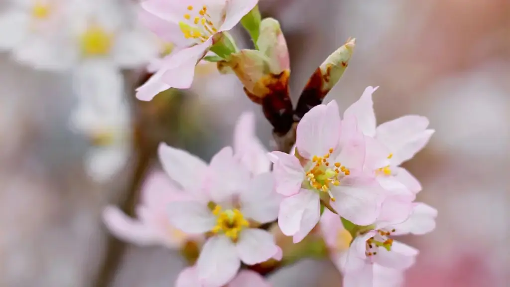 Mwongozo wa hatua kwa hatua kwa wauzaji Tanzania: jinsi ya kutafuta Viber creators wa Mongolia kwa product seeding kwa beauty bloggers, ukizingatia tamaduni, logistics na uteuzi wa influencers.