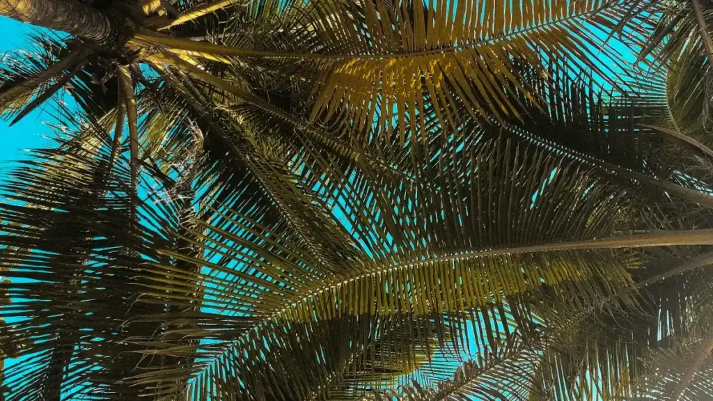 Mwongozo wa hatua kwa wa-creators Tanzania: jinsi ya kuwafikia brand za Cyprus kwenye WeChat, kuongeza nafasi za ushirikiano, na mikakati halisi za 2025.