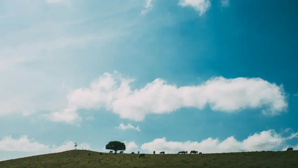 Mwongozo wa mtaani kwa creator wa Tanzania: jinsi ya kuwasiliana na brand za Iran zilizoonekana kwenye Netflix kwa unboxing na testimonial clips, na tips za kufunga deal.