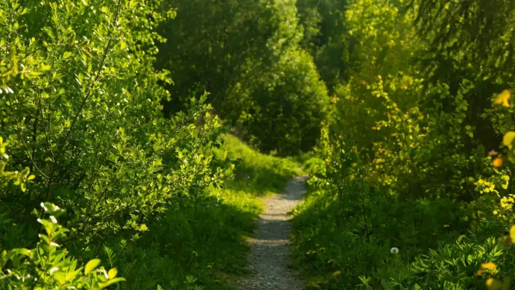 Jinsi muundaji kutoka Tanzania anaweza kuwafikia wauzaji wa Iraq kwenye Etsy, kujenga mahusiano ya muda mrefu, na kufungua mikataba ya chapa kwa njia ya vitendo.