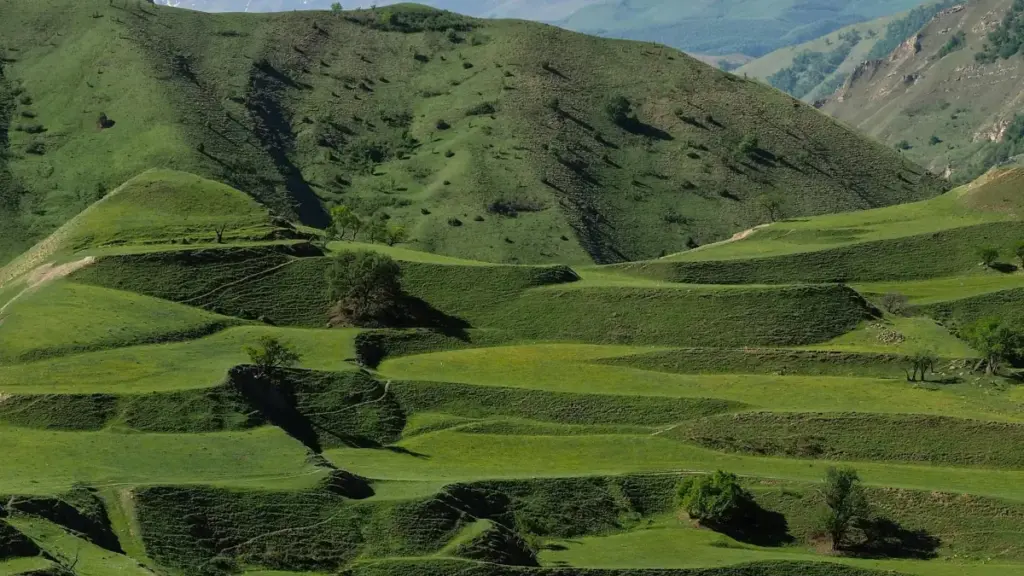 "Mwongozo wa vitendo kwa creators Tanzania: jinsi ya kuwasiliana na brand za Norway kwenye Hulu, kupata fursa za UGC, na kuandika pitch inayowashangaza."