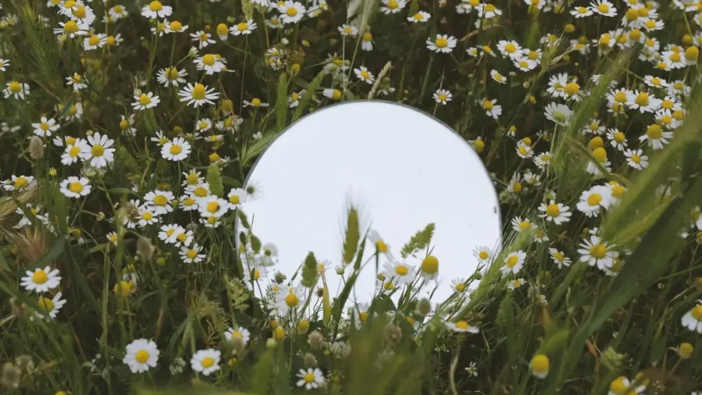 Mwongozo wa hatua kwa hatua kwa creators Tanzania: jinsi kutumia WhatsApp, AnyChat na mbinu za ukaaji kuwasiliana na brand za Turkey ili kukuza bidhaa za affiliate.