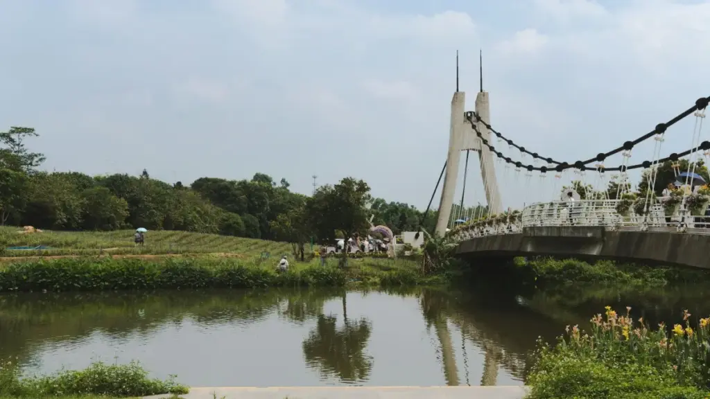 Njia za kutoza na kushirikiana na creators wa Australia kwenye Line/Linea ili kuongeza ufahamu ndani ya jamii za gaming — mbinu za kimsingi kwa watangazaji Tanzania.