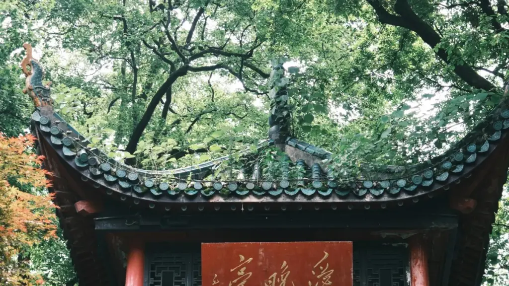 Jifunze mbinu za kufikia brand za Urusi kwenye Douyin na kuongeza usajili wa kozi mtandaoni kwa ustadi wa kibiashara wa mtandao.